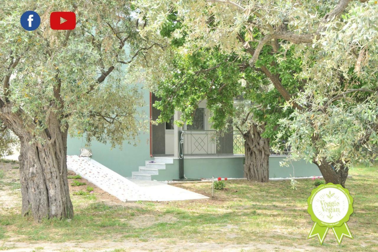 Villa "Elaeda Evdokia" Prinos  Exterior photo
